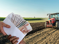 От полутора до семи миллионов рублей могут получить жители Саратовской области на стартапы в агробизнесе  