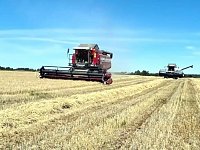 Аграрии области намолотили более 6,8 млн тонн зерна