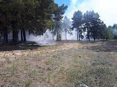Лесной пожар в Синодском МО: площадь возгорания – 1500 квадратных метров